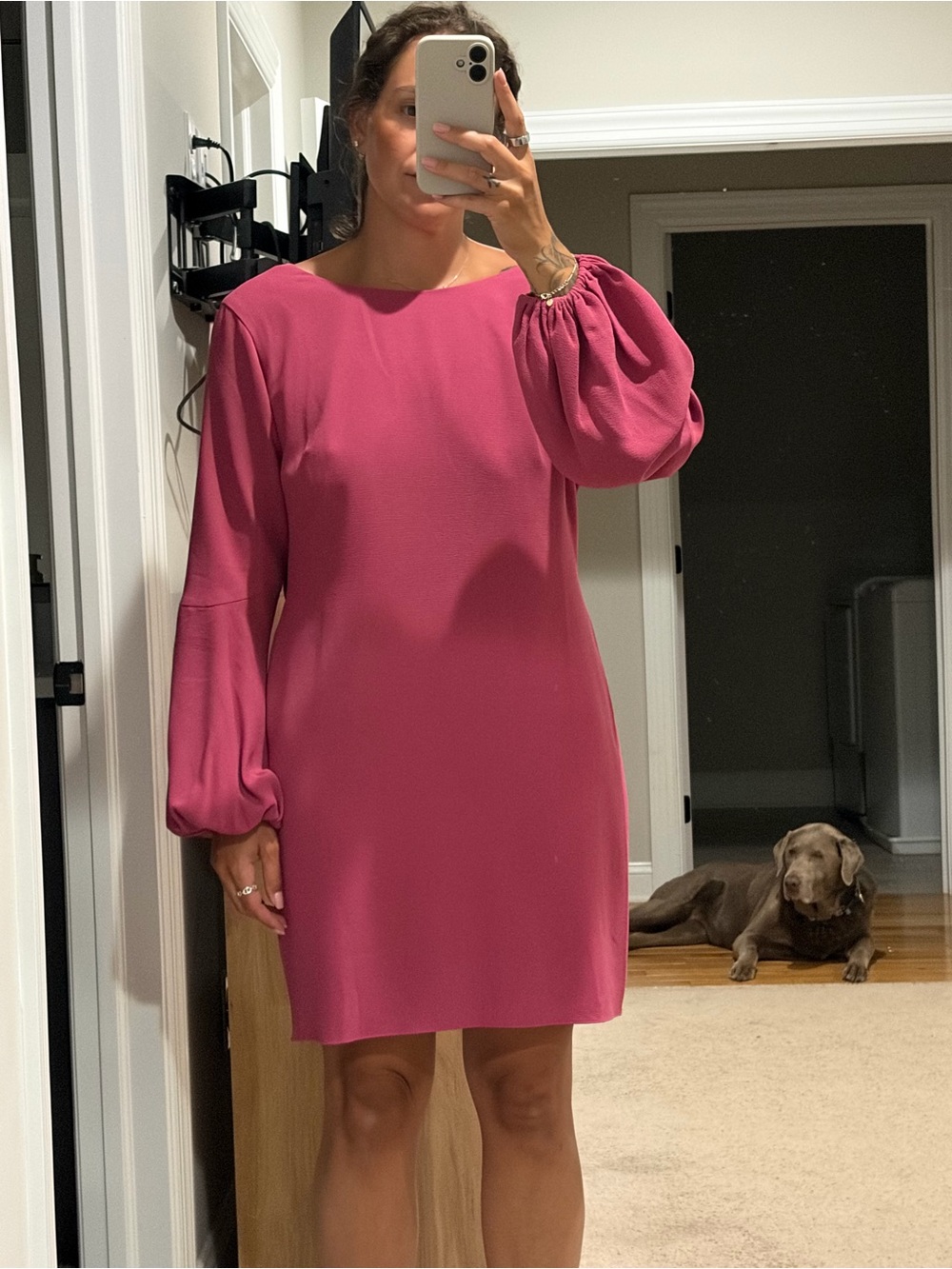 Dress the Population Pink Long Sleeve Shift Dress